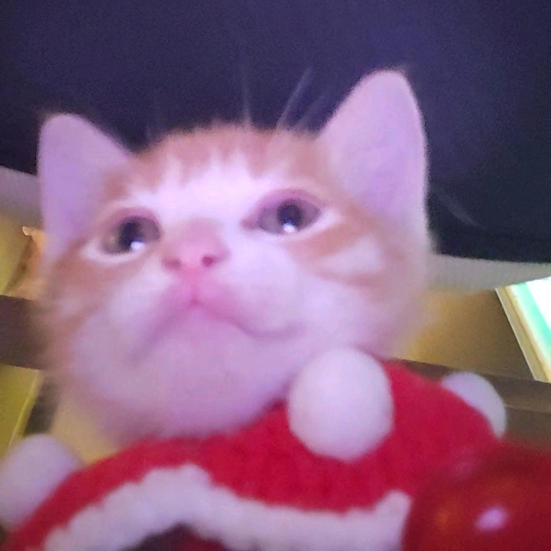 想睡觉~