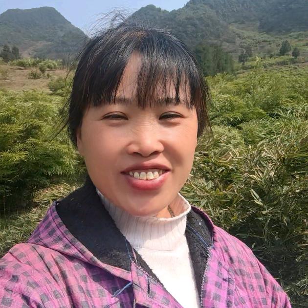 农村姐