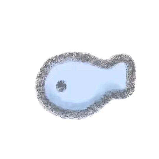 珍爱鱼🐟