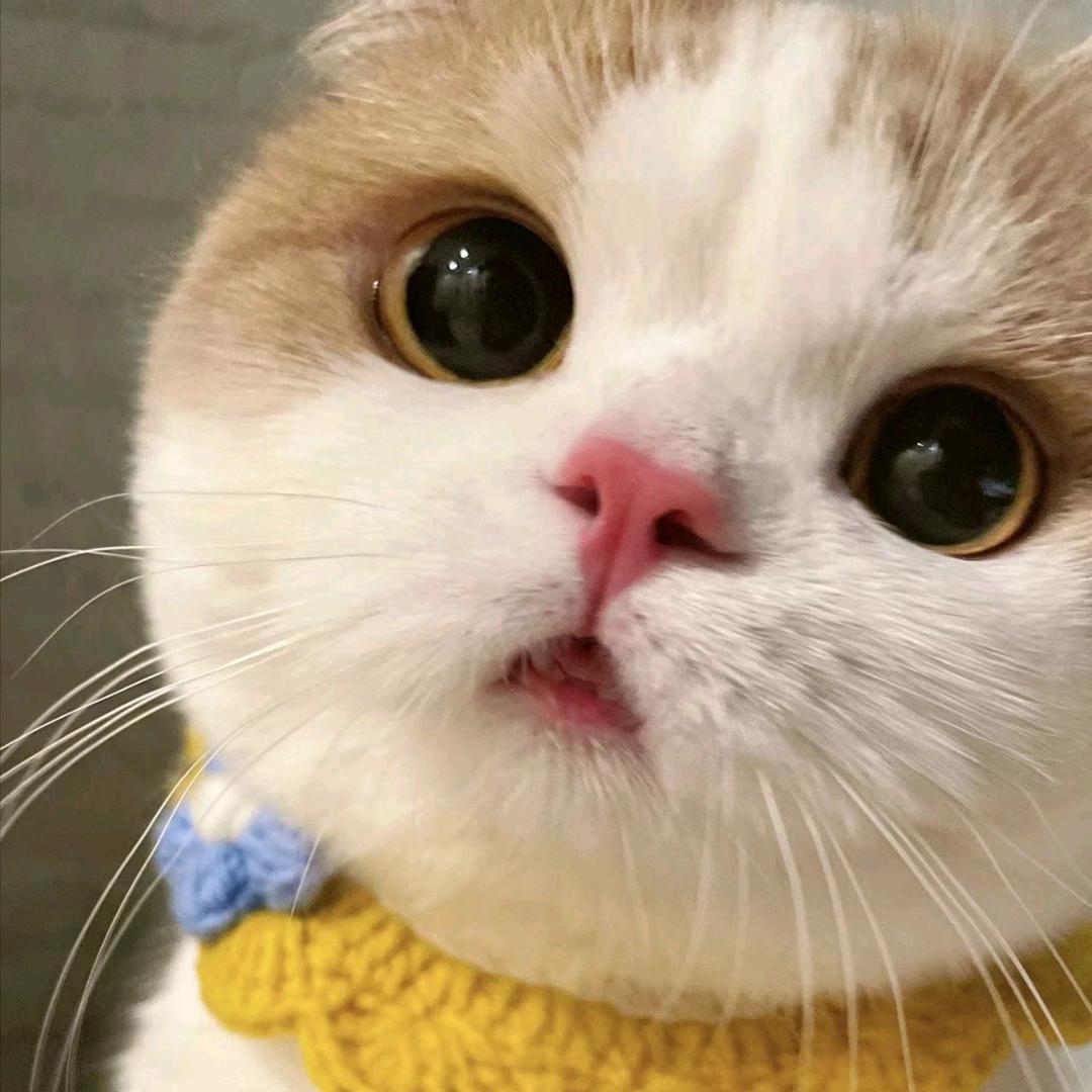 🌈苡沫妈妈🌈