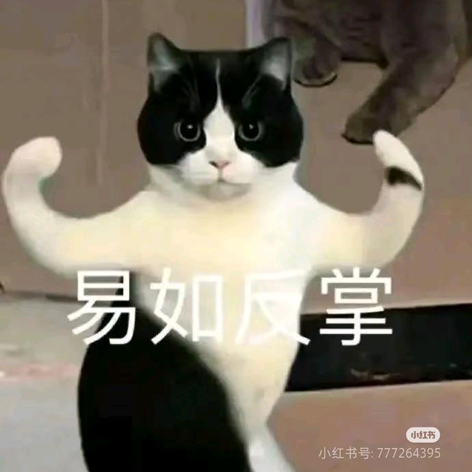 牛牛