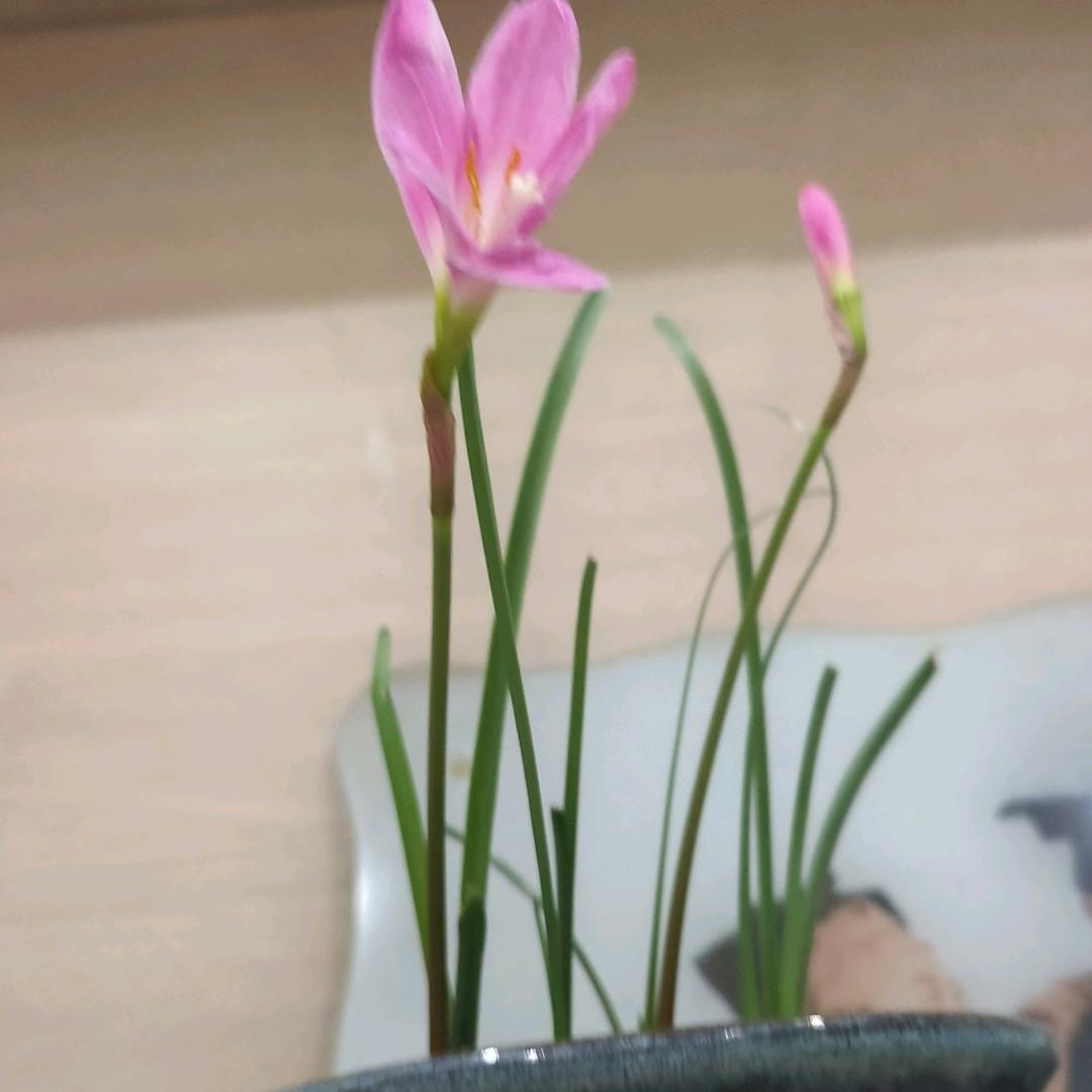 张八液化气配送