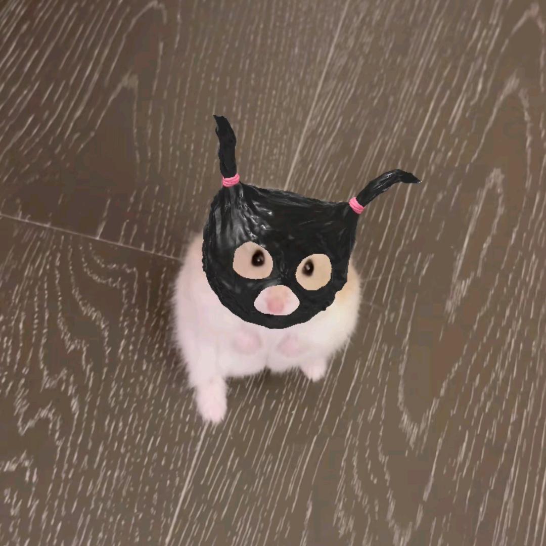 扶老蟑螂过马路被屎壳郎无证驾屎撞飞2万里