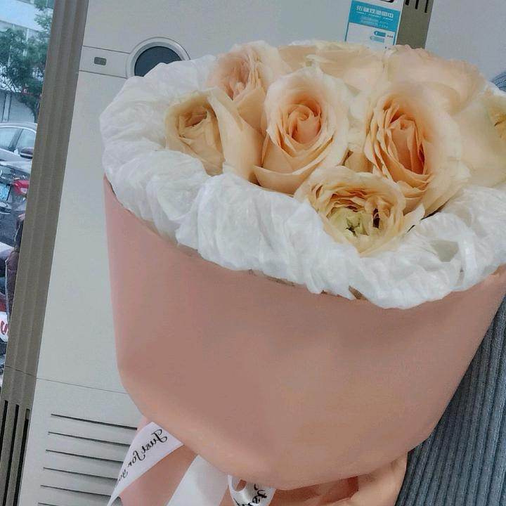 朱小鱼🐟