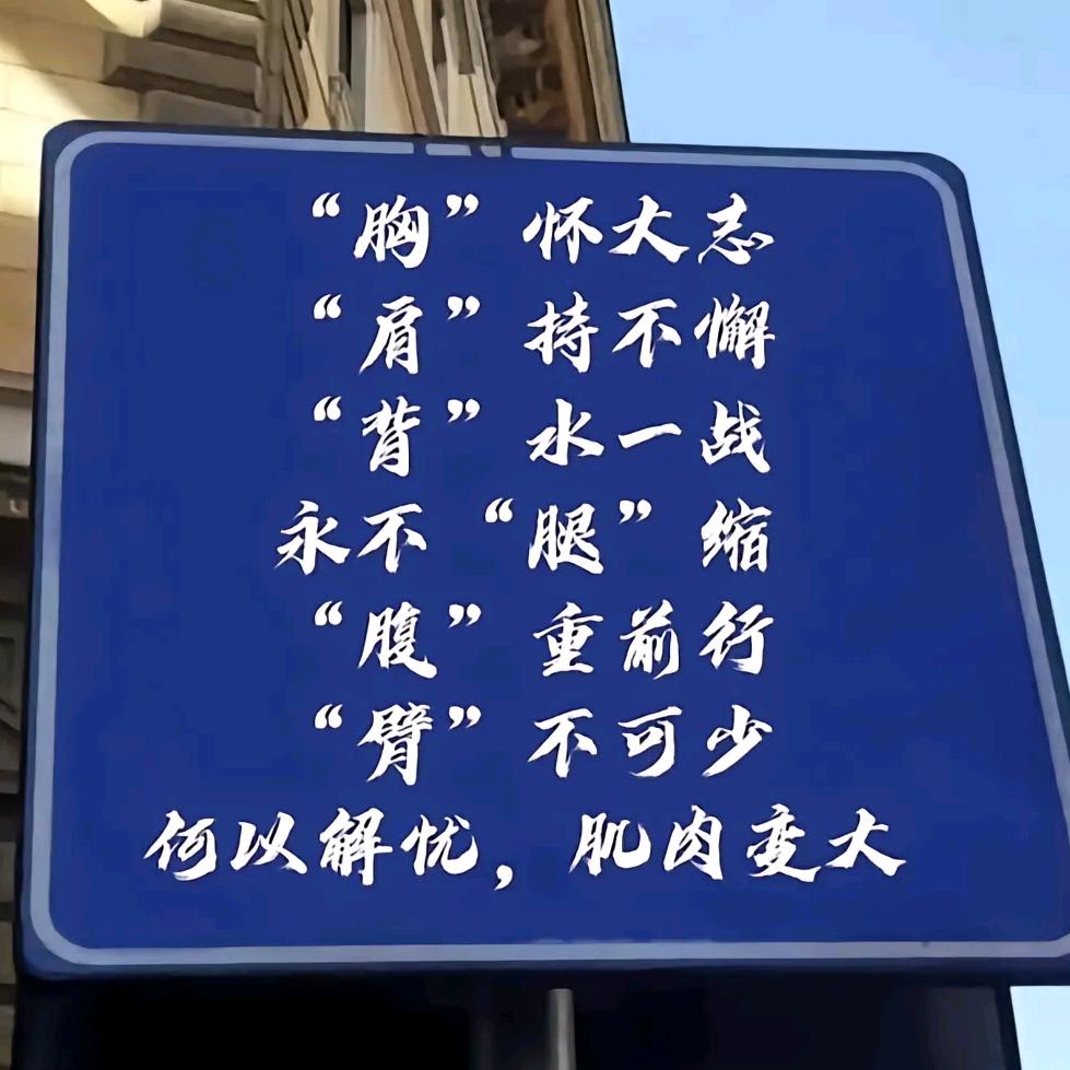 迷糊小金