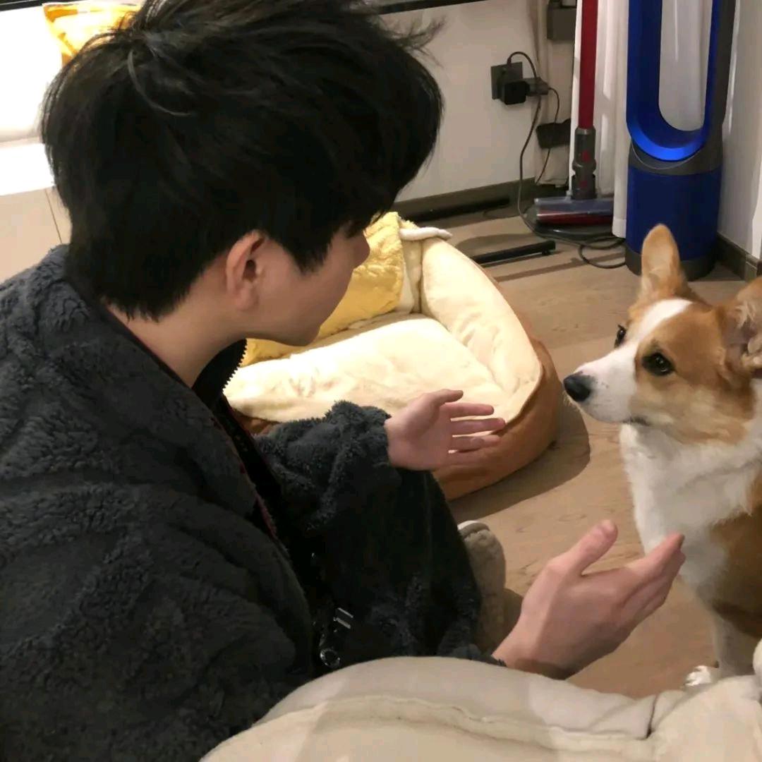 理性