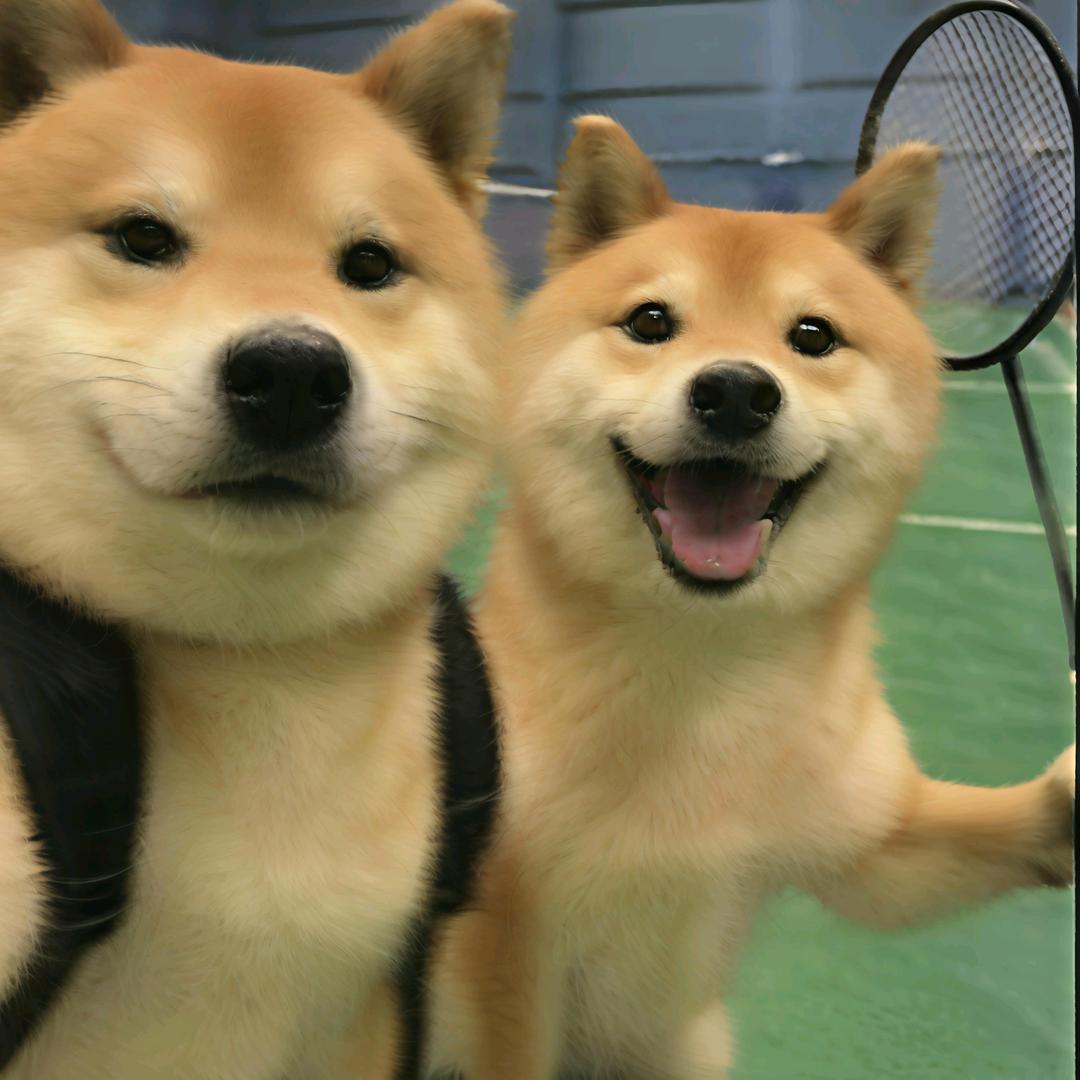 素雪初霁