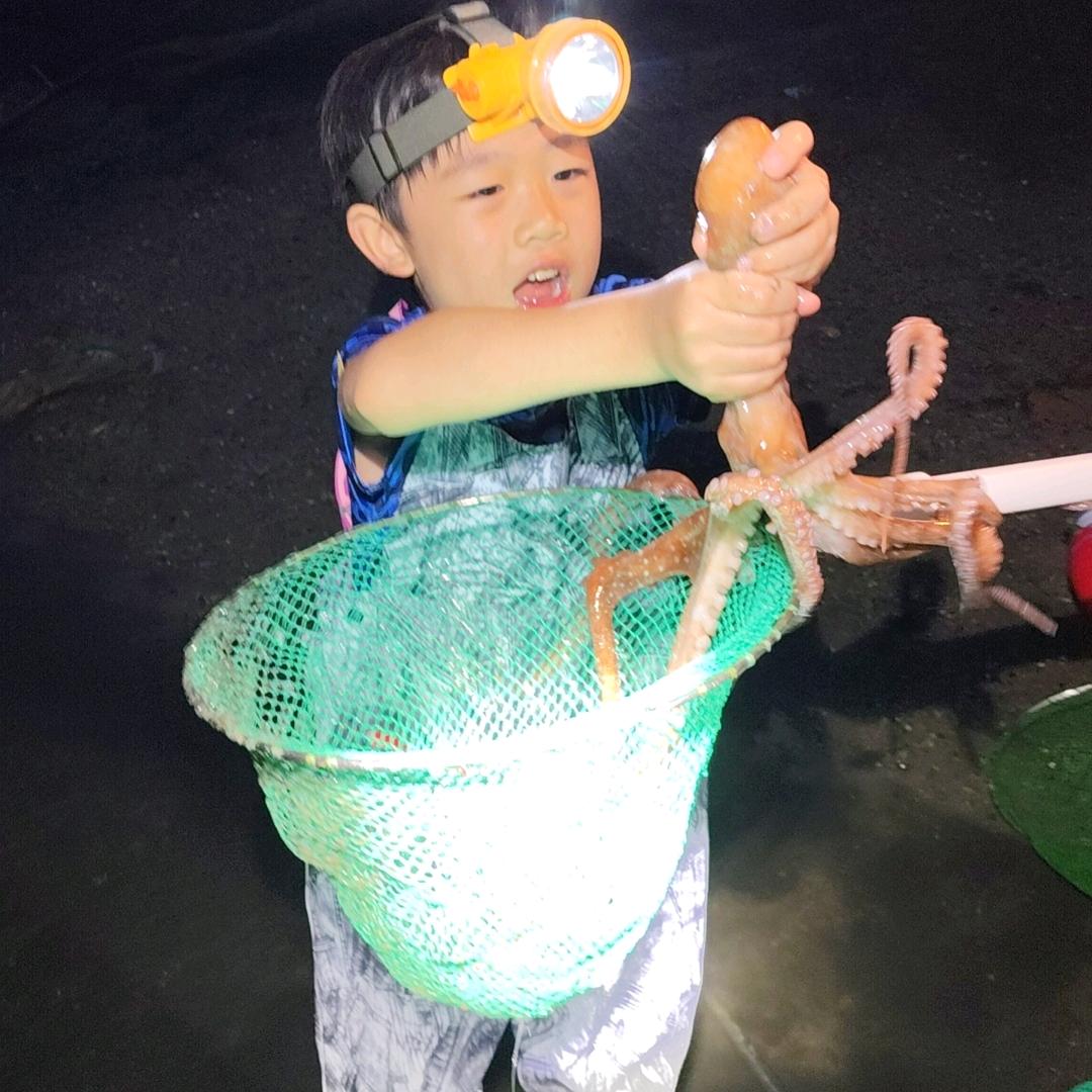 赶海：河豚故事运动俱乐部