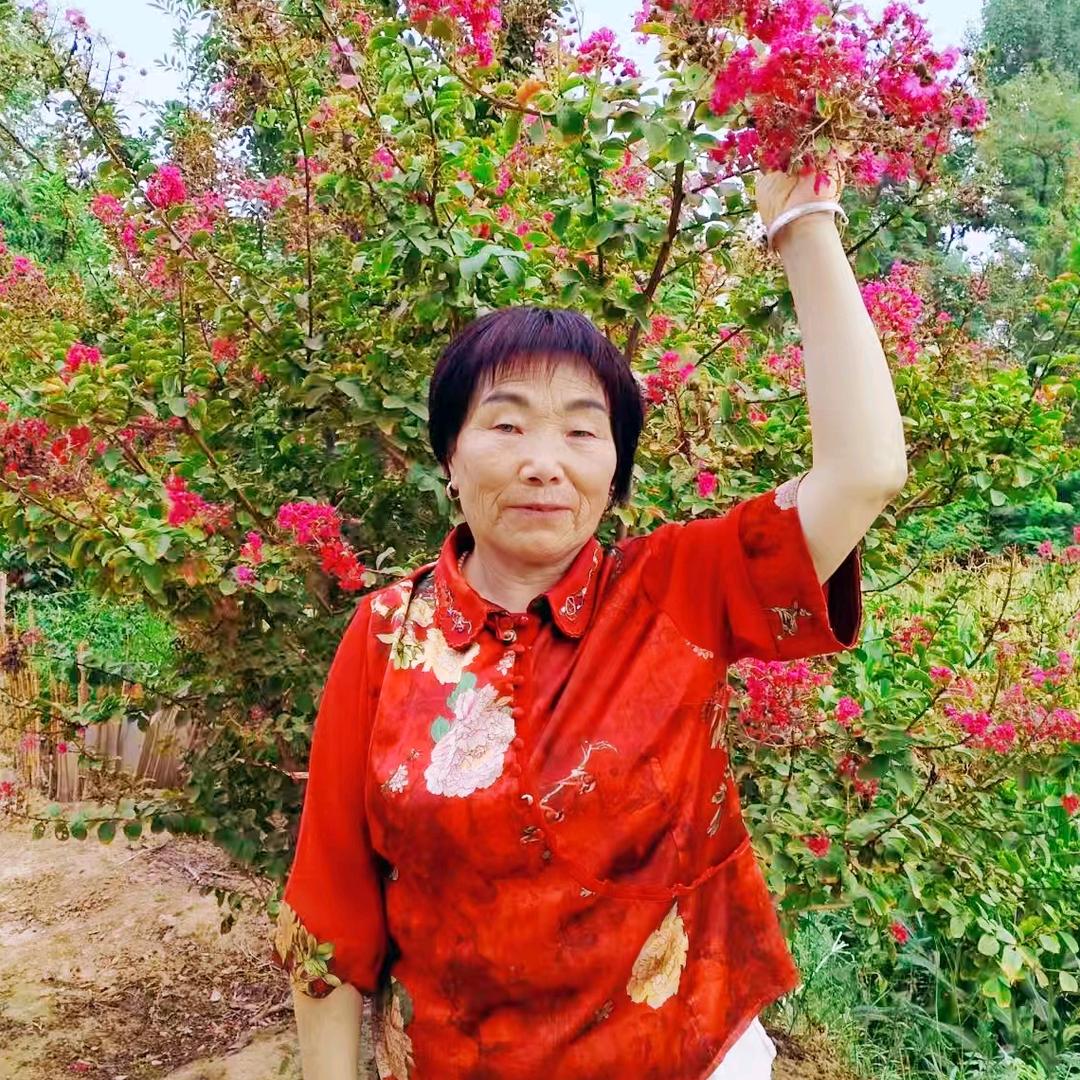 香花😃不定时间开播唱歌