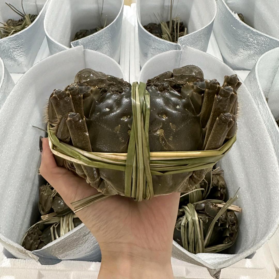 启澄臻选大闸蟹
