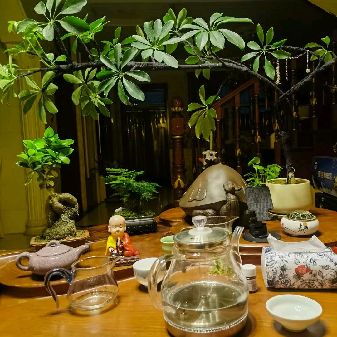 诸事顺利
