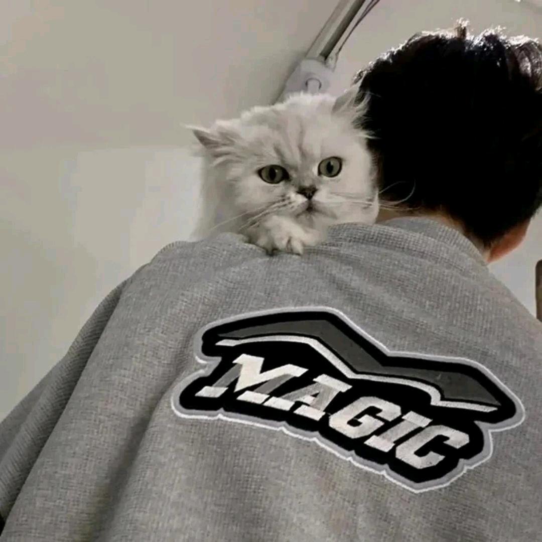 白小兮OvO