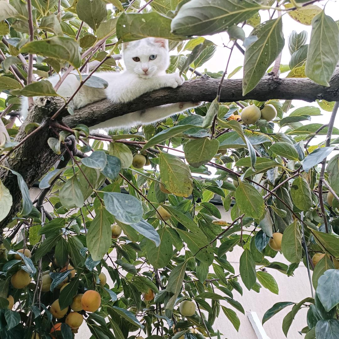 ♥♥你是我的唯一♥♥