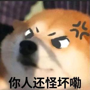 小刘从头再来