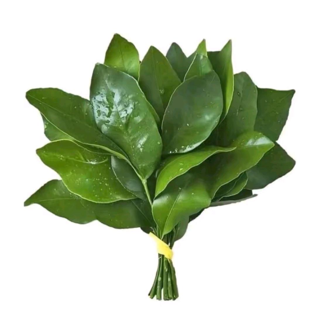 野生小王