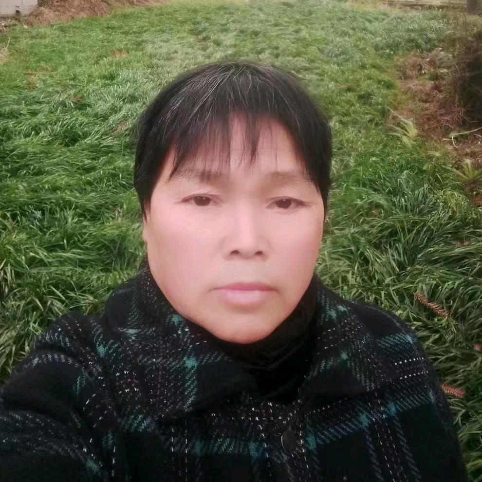 杨永珍小号