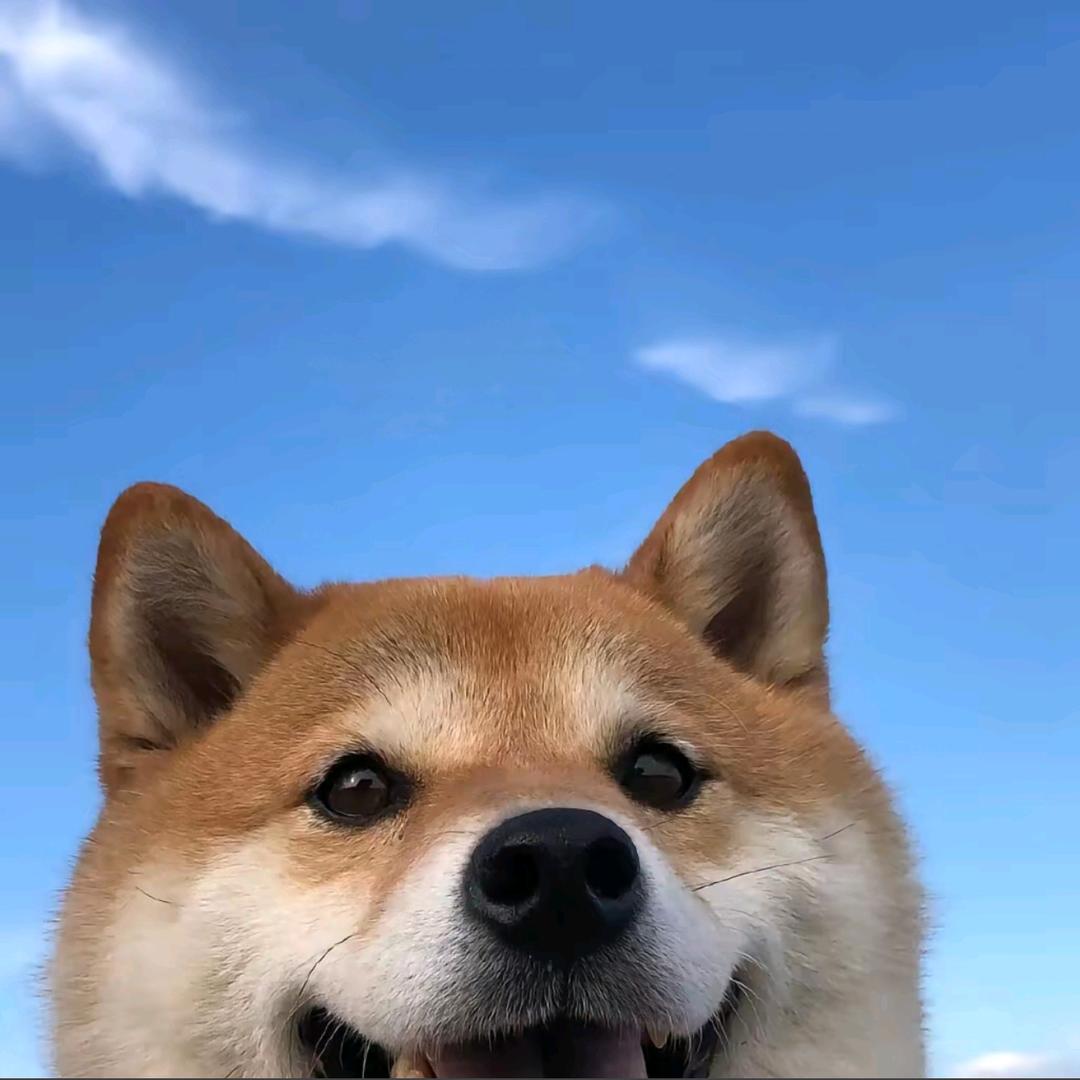 记得吃早餐