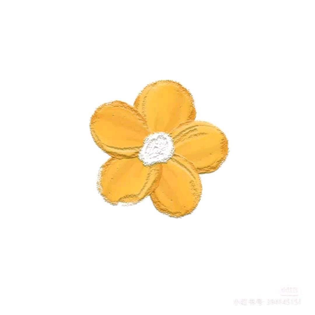 十六🇨🇳