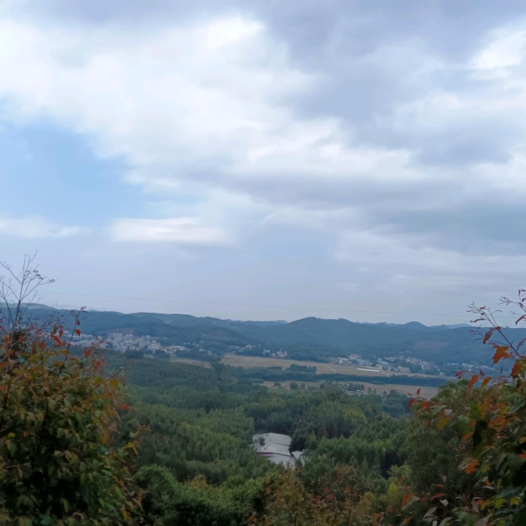 邹欧阳