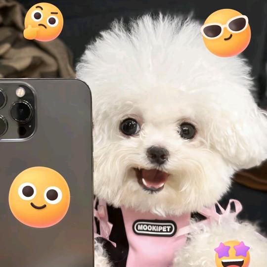 嚟囷