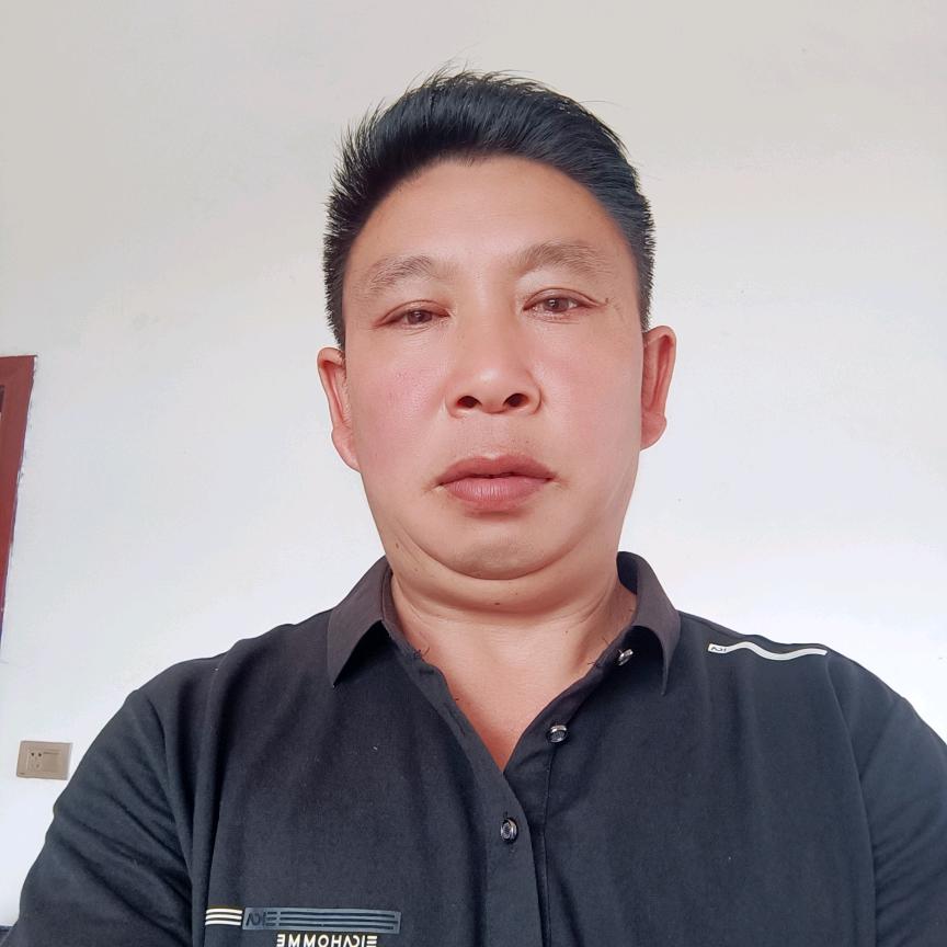 （🌲）孤单一个人