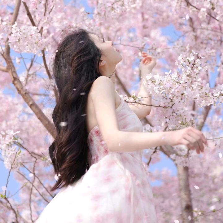 GY  醉花阴