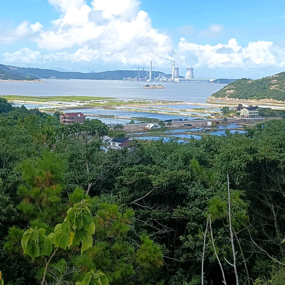 沉默