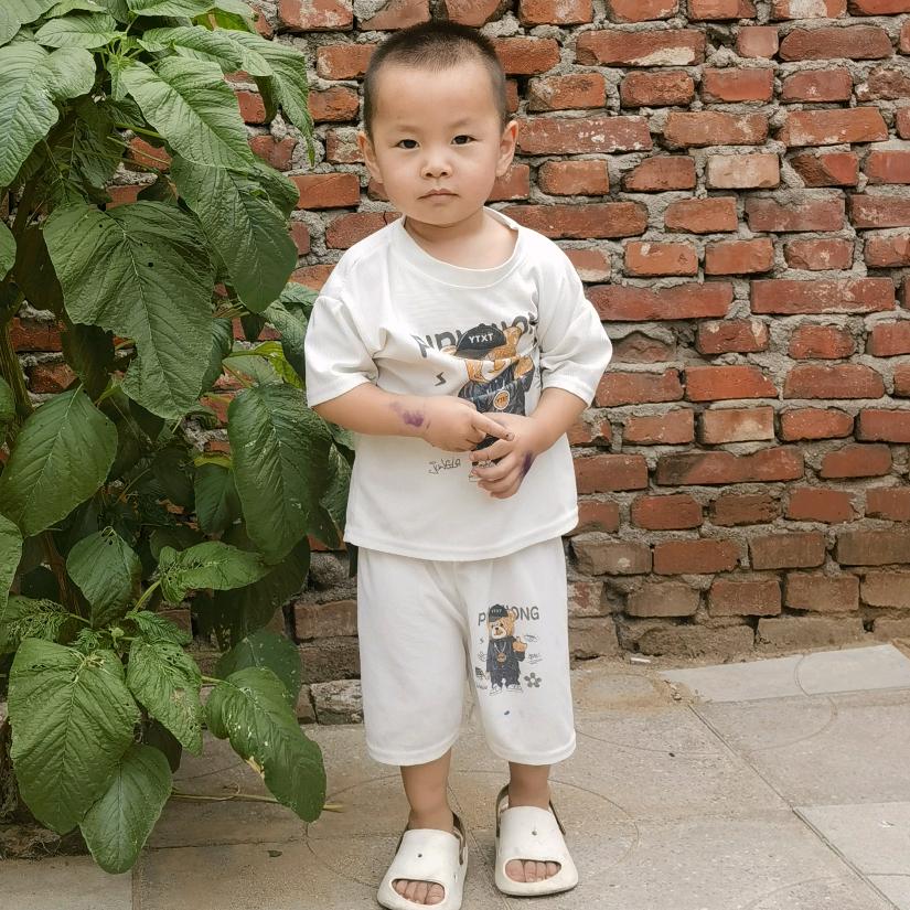 海刚《怡烁达》