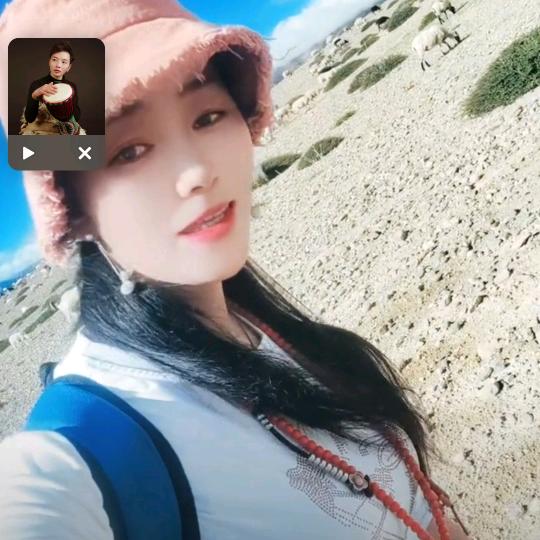 放羊姑娘