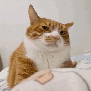 你啰嗦了🇵🇸