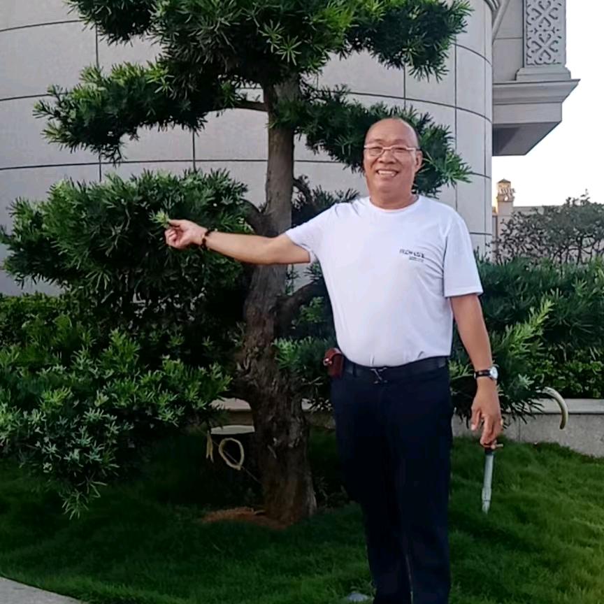 老王《修善》