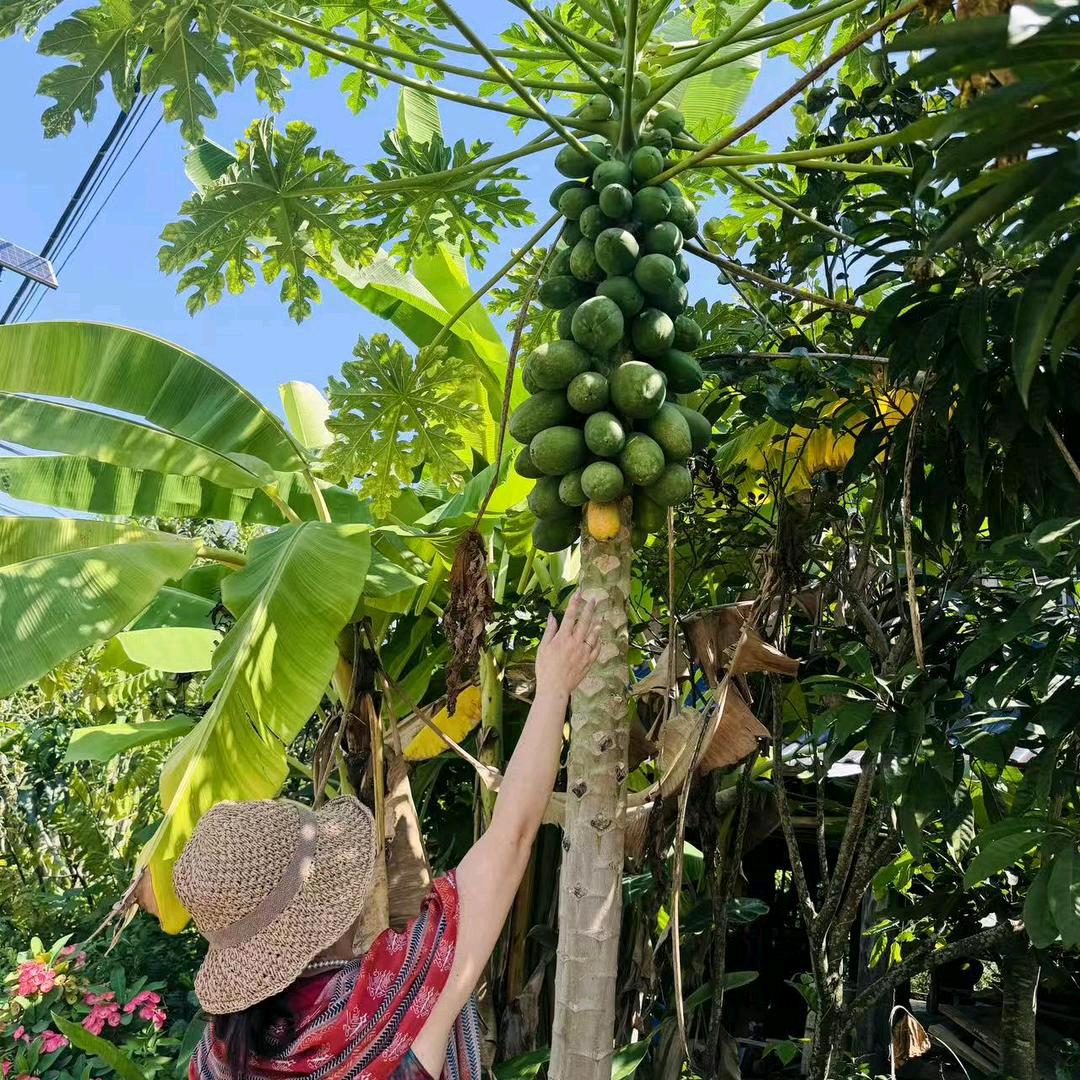 @高兴姐🌸🌸