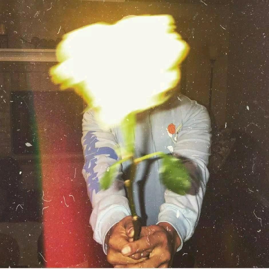 五月花