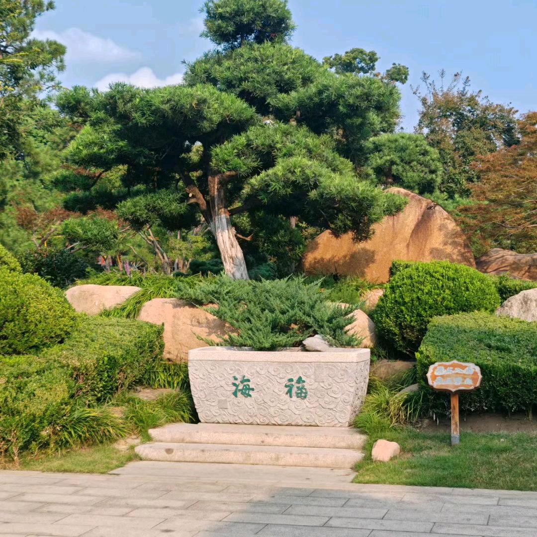 💞兜兜有糖 💕