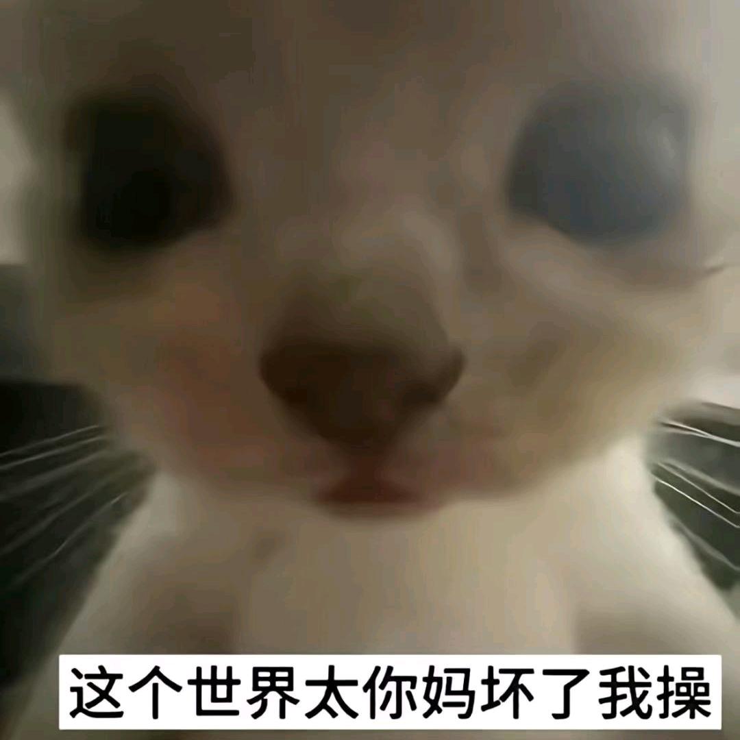 請發財💰
