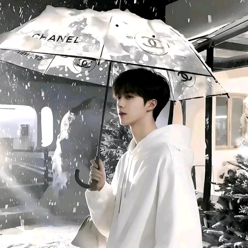 执伞鬼苏暮雨
