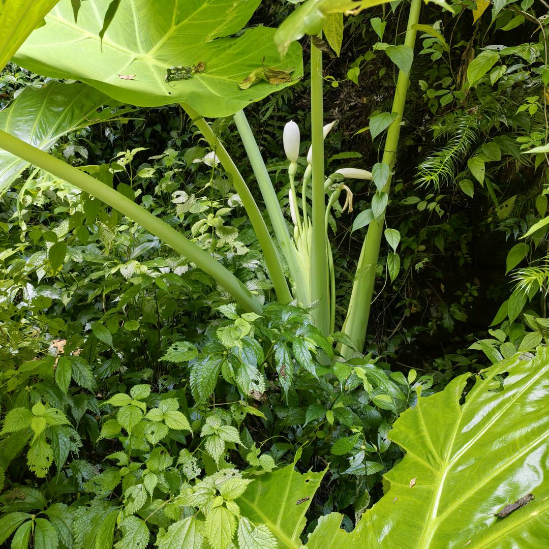 蔚蓝的天空💤没有我的翅膀