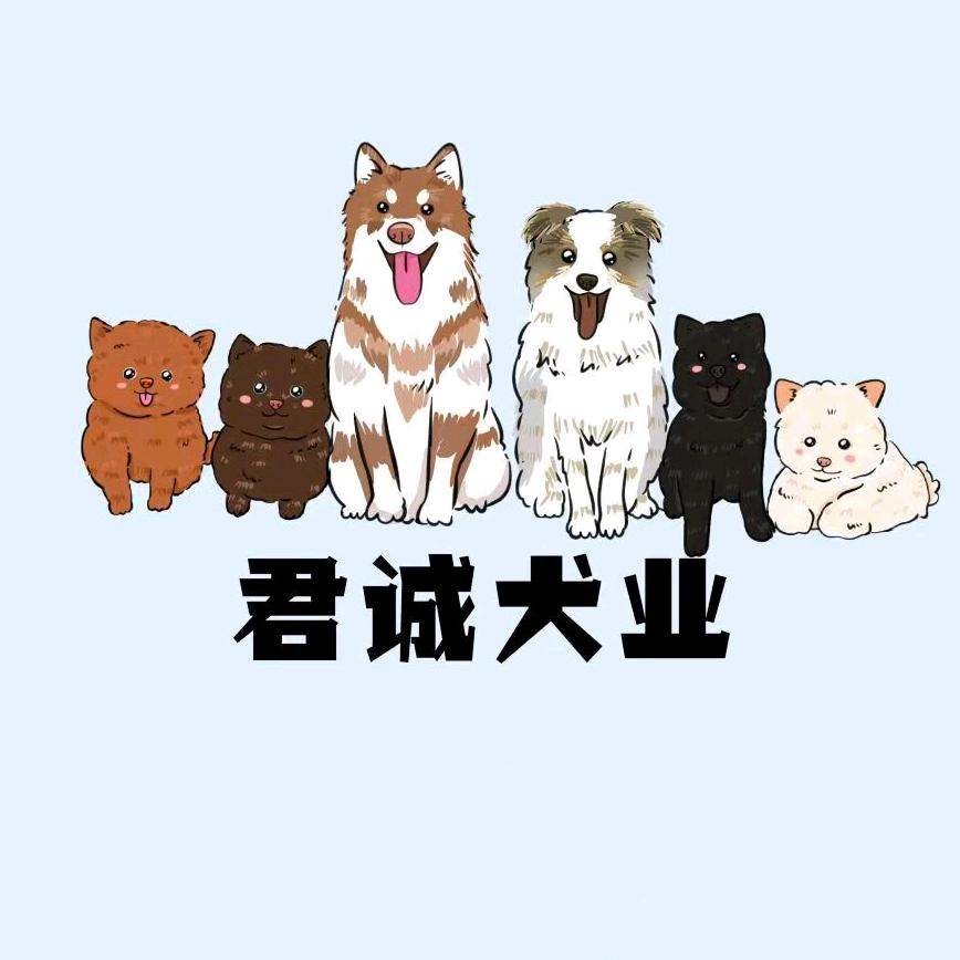 乌鲁木齐→君诚犬业（土松）