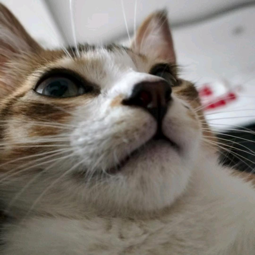 别抱紧我