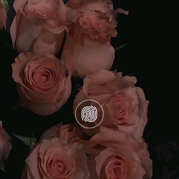 刺眼青春