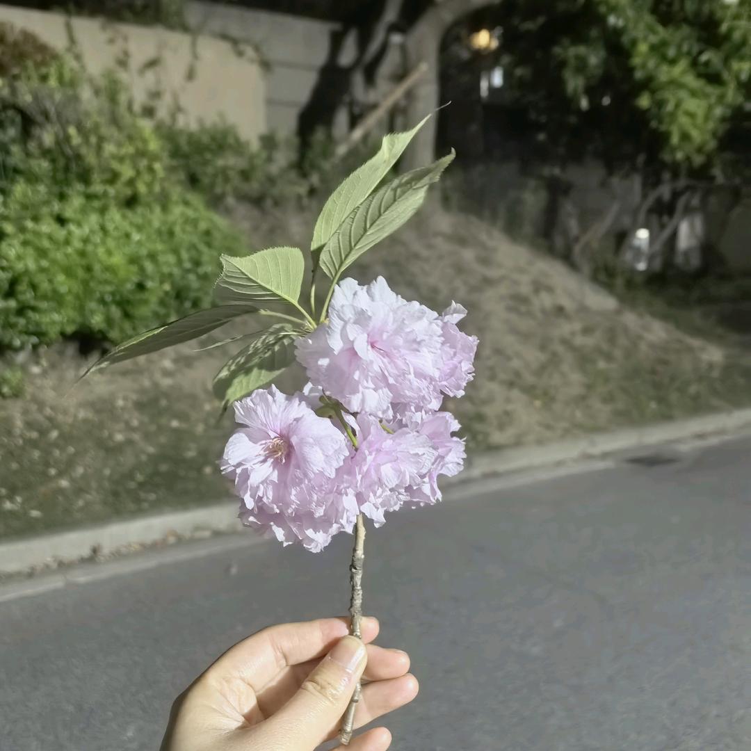 是小徐呀