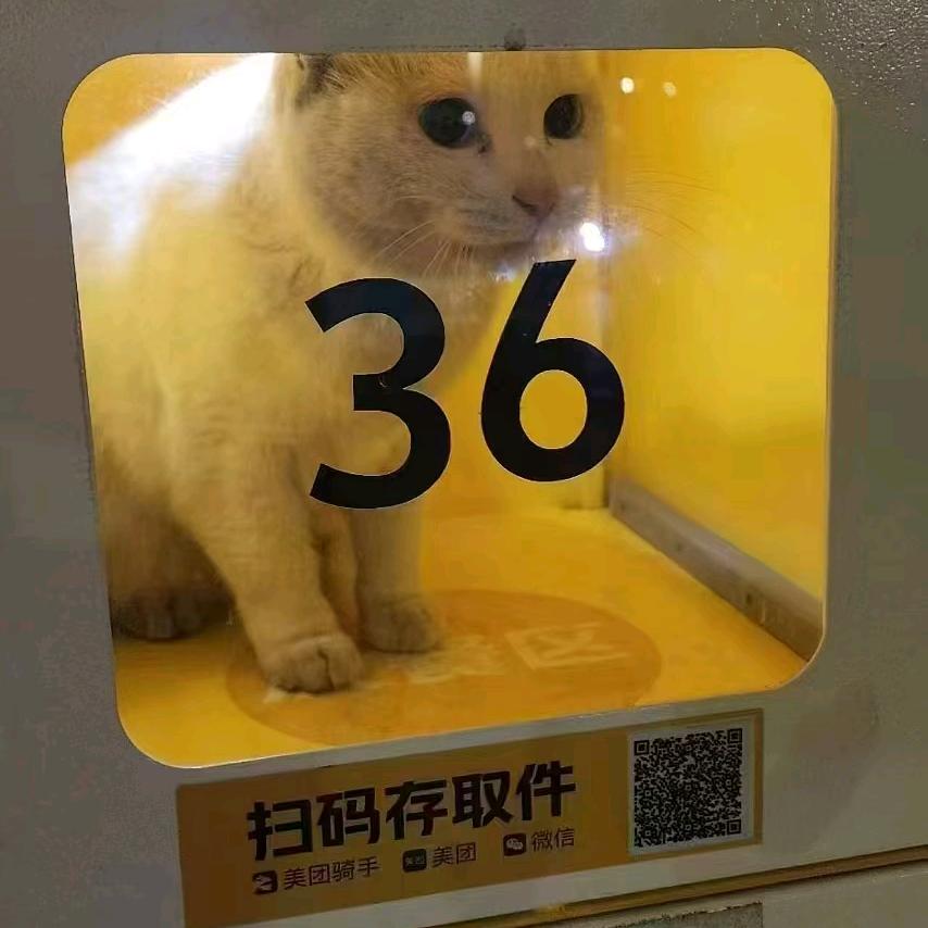 必捶抖音第一科技凯狗