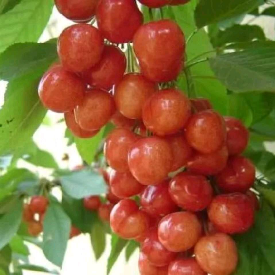 真惜时光