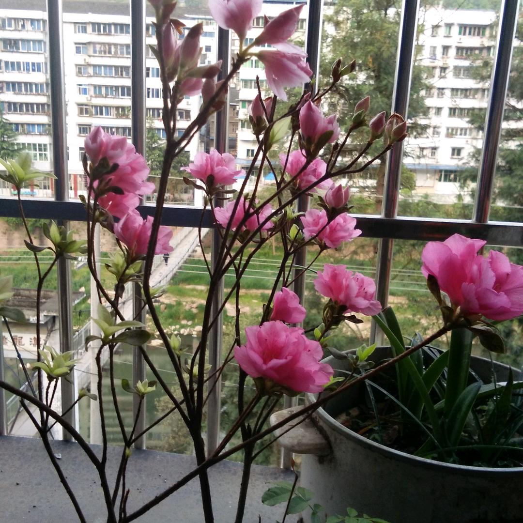 苦中有乐