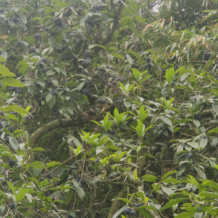 过好每一天