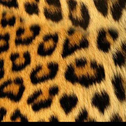 𝒓𝒂𝒙𝒊𝒅𝒂♥