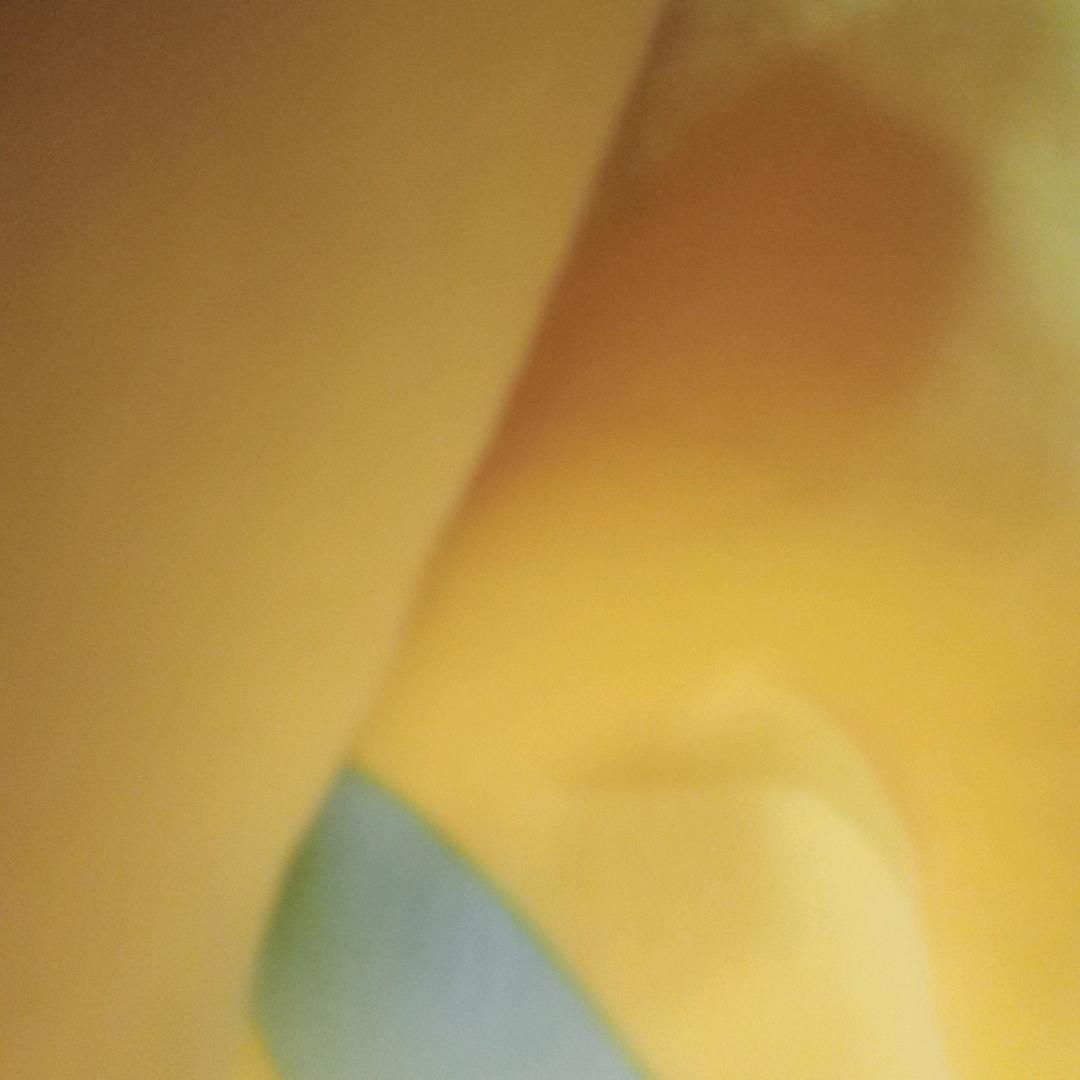 阿凡提