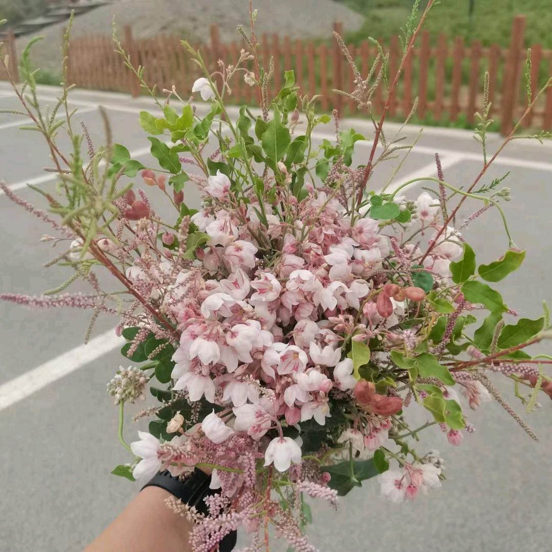 请叫我林木木(户外郎）