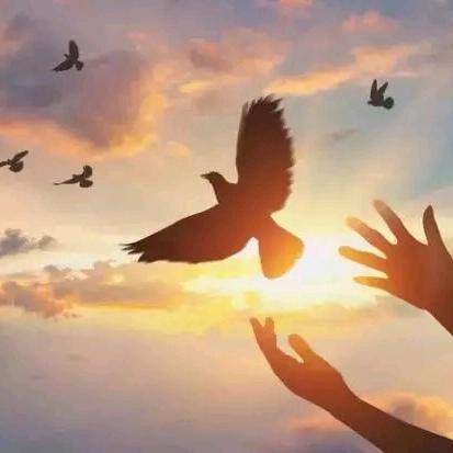 星辰大🟦️👩‍❤️‍👨☘