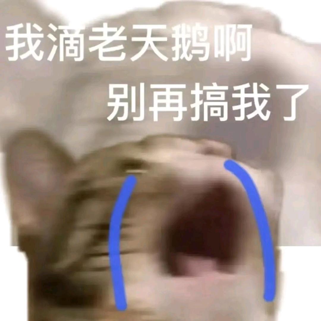 饭饭得正